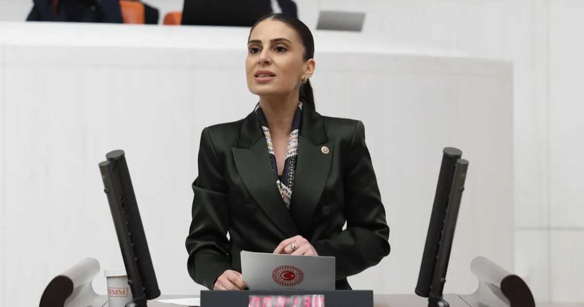 milletvekili-ozcandan-sokak-hayvanlari-icin-bakan-yumakliya-onerge-IpxYkXEg.webp
